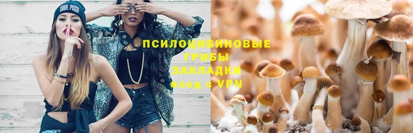 прущая мука Армянск