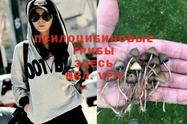 гидропоника Аркадак