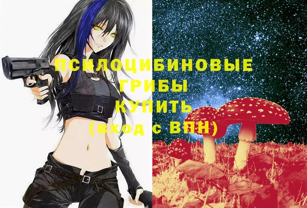 герыч Арсеньев