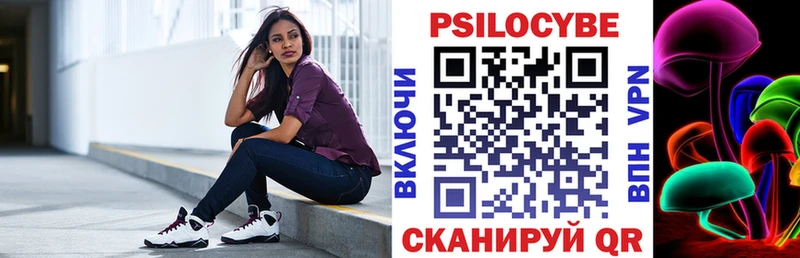 Купить закладки  Зверево  Галлюциногенные грибы прущие грибы 