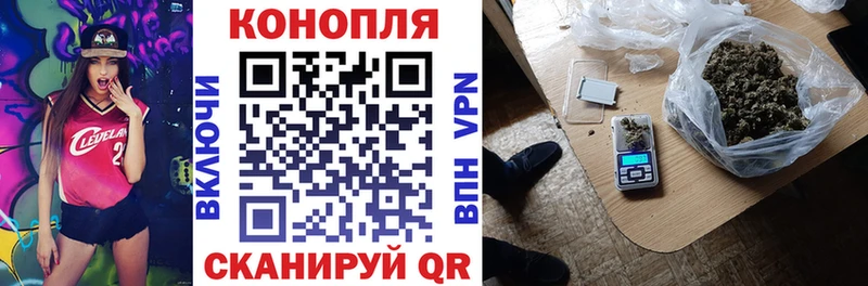 Бошки марихуана Amnesia  Купить закладки  Зверево 